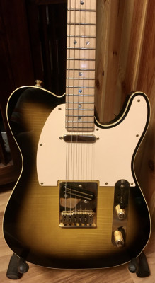 Cambio .Fender Telecaster Richie Kotzen signature