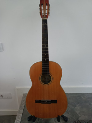 Guitarra Suzuki 9