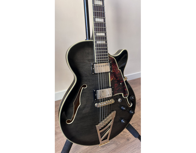 D’Angelico Excel SS