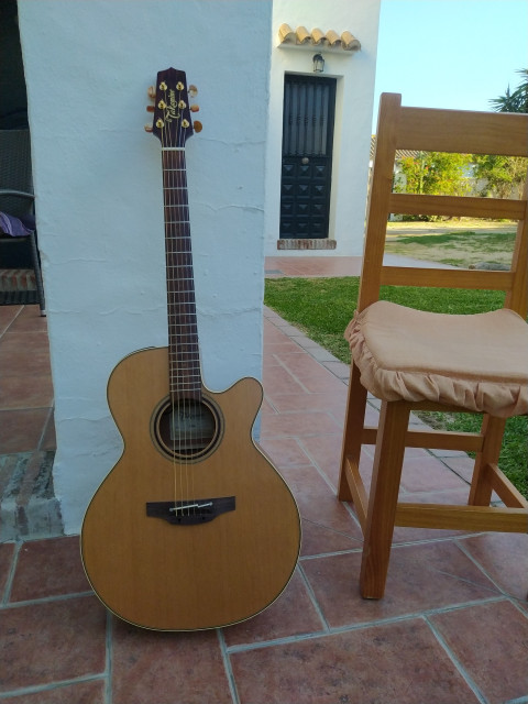 Takamine P3NC