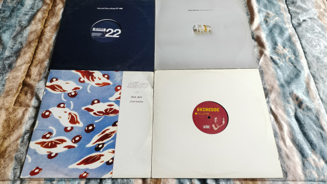 Lote Vinilos - Techno - Paul Mac - Shinedoe - DJ Preach - Aphex Twin