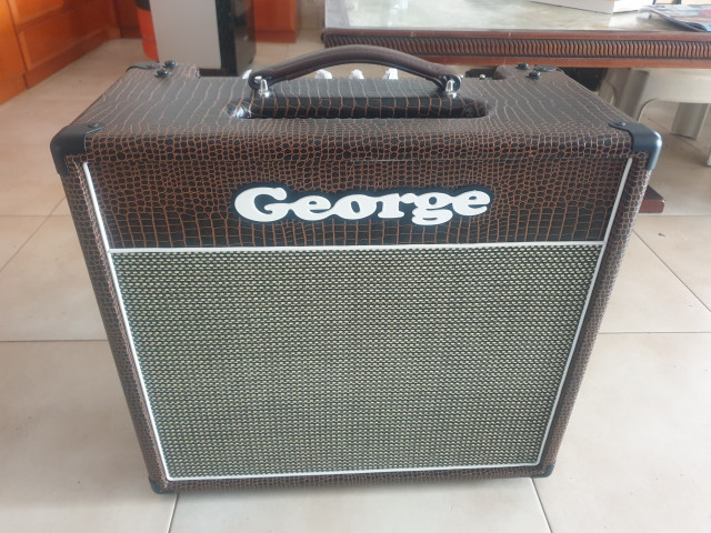 George Axefive por 65 Princeton reverb