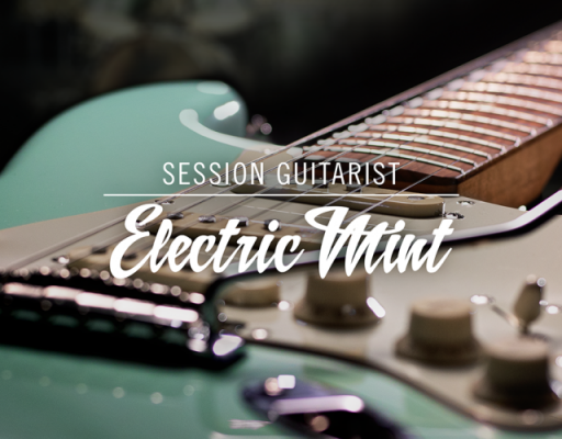 Session Guitarist - Electric Mint - Licencia Native Instruments