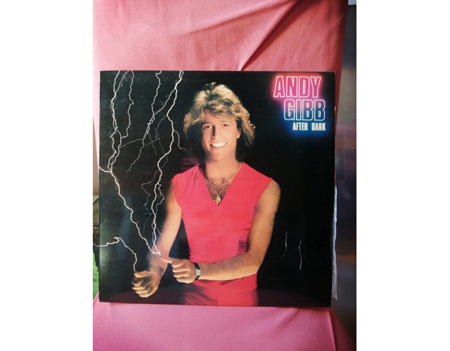 Vinilo - Andy Gibb ‎– After Dark