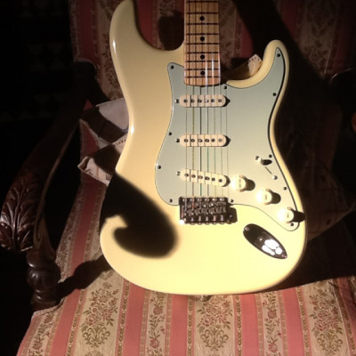 Fender Stratocaster 69 NOS MASTERBUILT Todd Krause