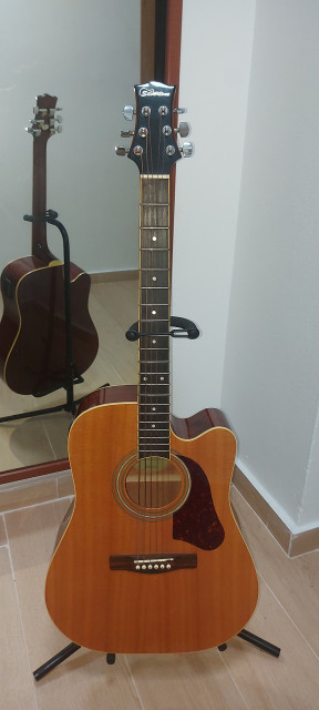 silvertone sd-20ce