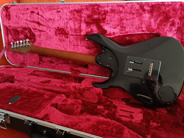 Ibanez AZ2407F BROWNISH