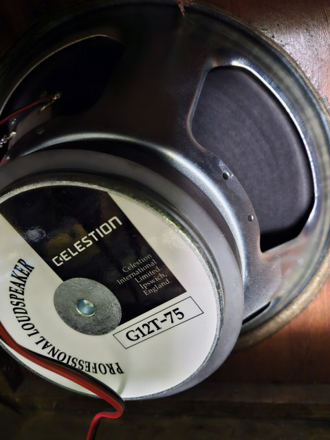 Altavoz Celestion  G12T-75 EN MANO