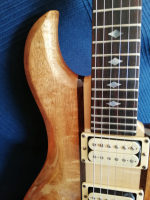 Bc Rich eagle vintage