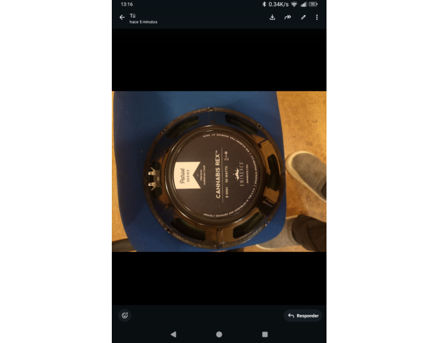 Altavoces Eminence 10