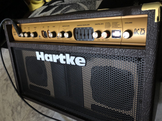 HARTKE AC75, Amplificador para acustica