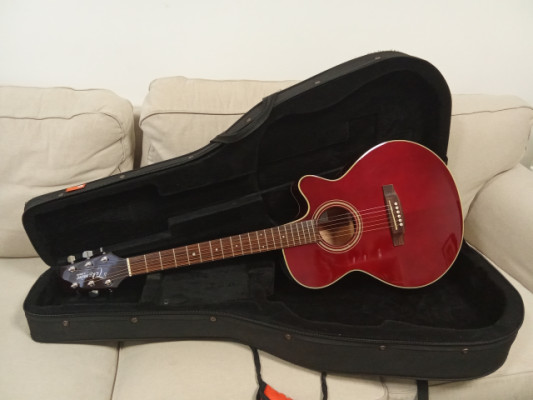 Takamine G Series EG260C WR