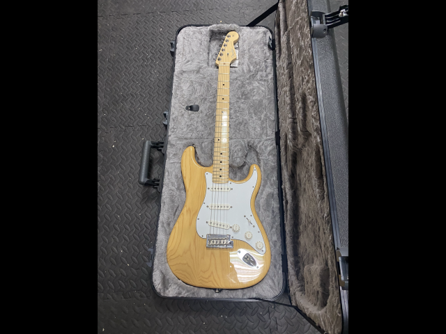 Guitarra fender stratocaster am pro