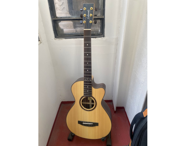 o cambio Acustica Lakewood C-31 Custom tamaño Concert OO Parlor