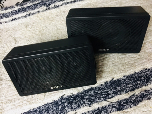 Monitores SONY SS-X6A