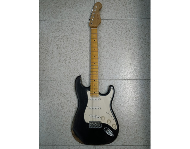 Stratocaster Partcaster