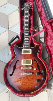 Cambio: Ibanez AM-255 convertida a AM-205 1984 + OX4 Low Wind PAFs