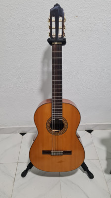 Guitarra Azahar palosanto nº 140