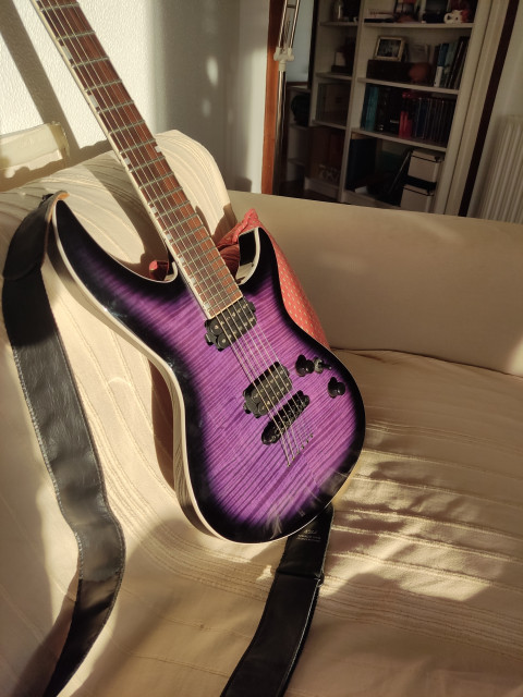 ESP LTD HE-1000 deluxe