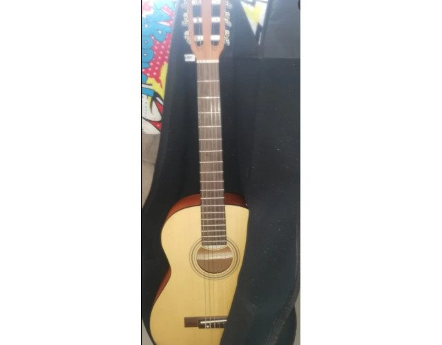 Fender acoustics ESC80