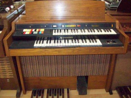 organo Hammond