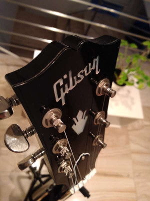 Gibson ES 335 (vendo o cambio)