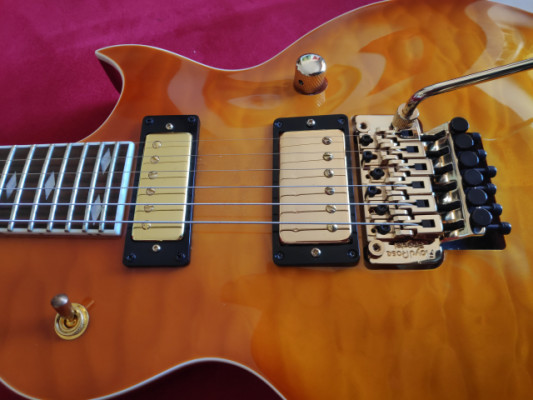 Les Paul Floyd Rose