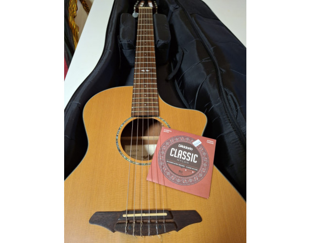 Breedlove Studio N250/CR Nylon