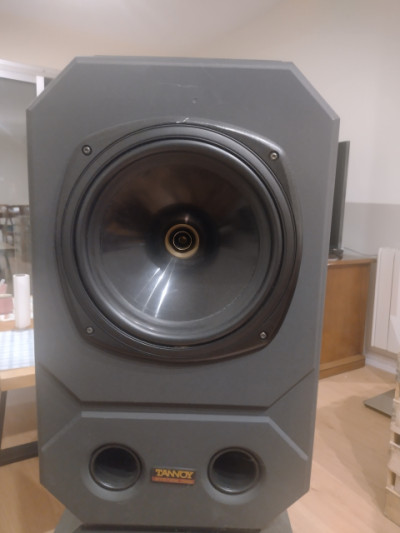 Monitores Tannoy System 1000