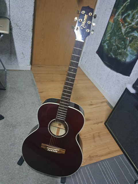 Takamine EG-430WR S