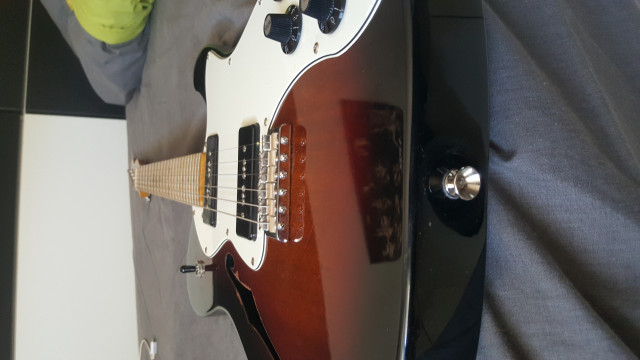 Fender modern player telecaster thinline
