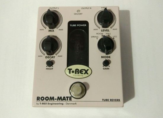T Rex Room mate 2