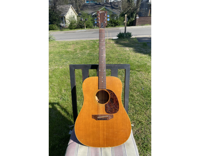 Gibson Blue Ridge de 1969 (VIDEOS)