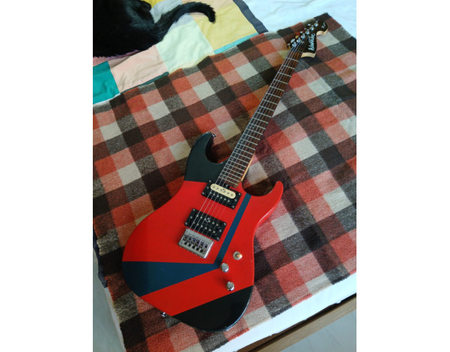 Washburn X Series Custom Relic Nitro