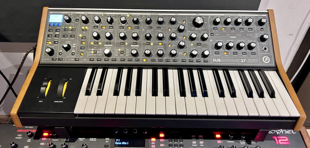 Moog Subsequent 37