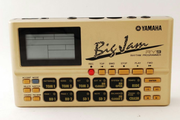 Caja de ritmos Yamaha Big Jam RY9
