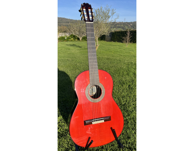 Guitara Flamenca (Clásica) Antonio de Toledo Y8
