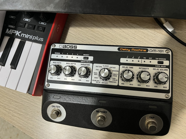 Boss DM-101