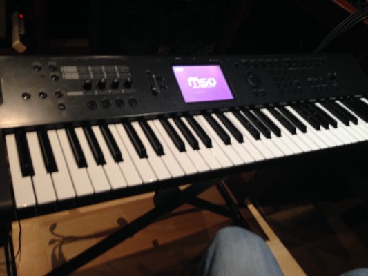 Korg M50 teclado y soporte