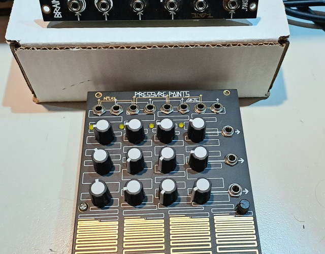 Make Noise Pressure Points y Brains