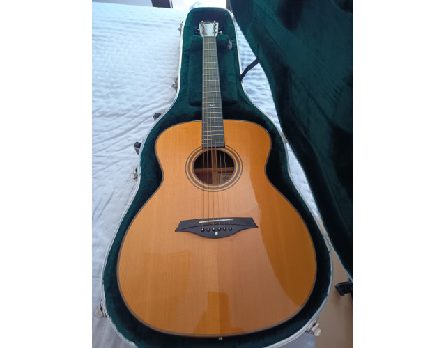 Guitarra Mayson MS5