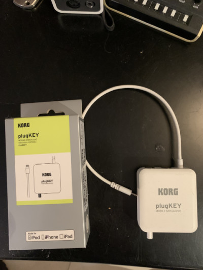 Korg Plug Key