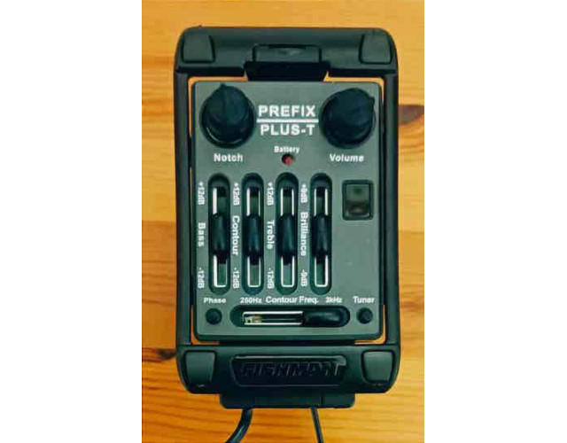 Fishman Prefix Plus T