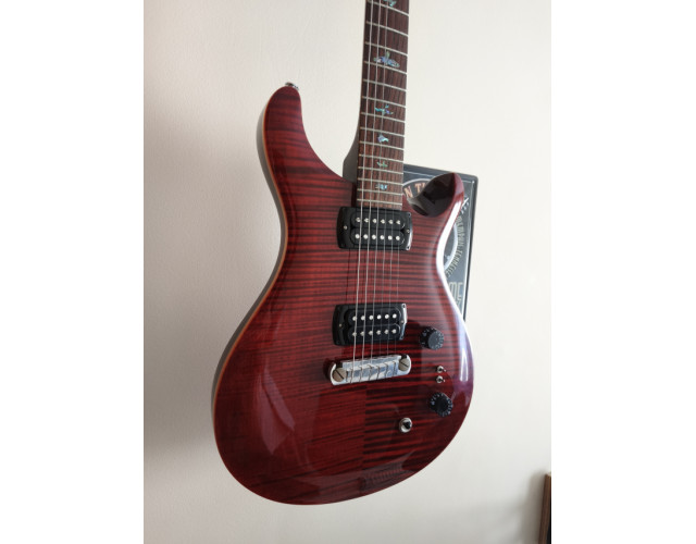 PRS SE Paul's Guitar