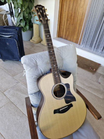 Taylor 816ce builder edition