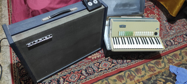 Reservado a Dalmacio Farfisa Transiscord y Amplificador Tr60 Farfisa Deluxe