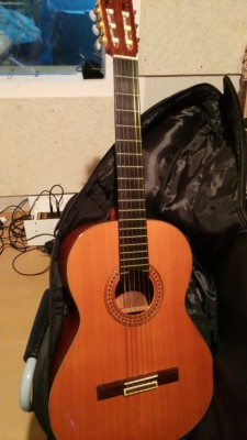 Guitarra Clasica Alhambra 6P