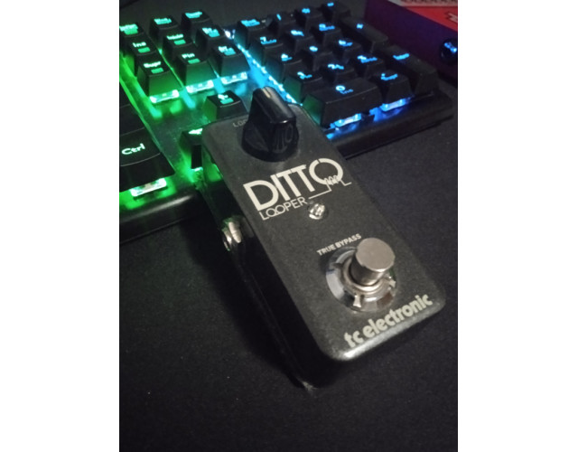 Ditto looper