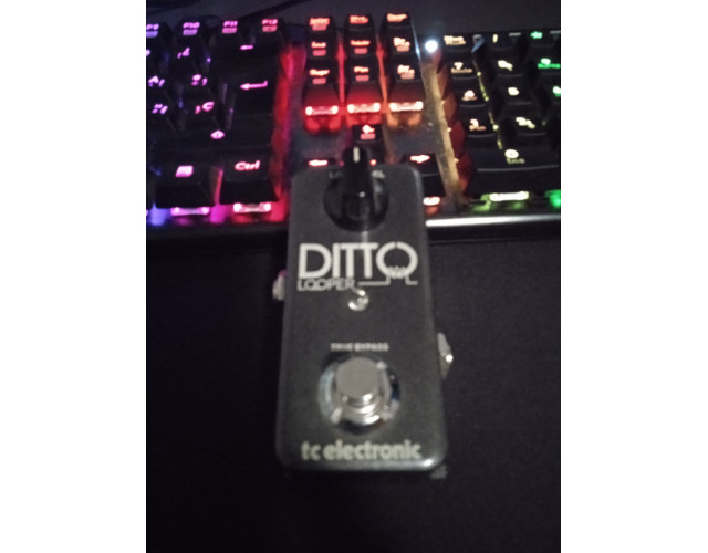 Ditto looper