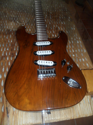 CAMBIO Guitarra luthier PAMITO GUITARS